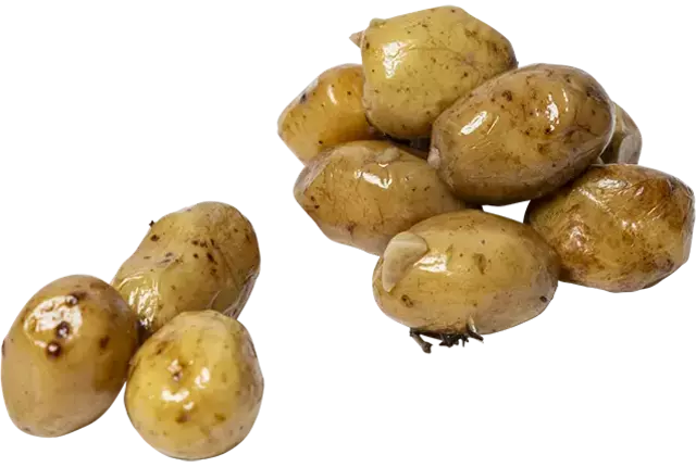 Gerookte krieltjes 1kg kist 5 stuks